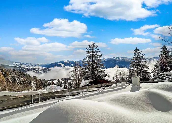 Po Petite Ourses - Slopeside - Swiss Alp Διαμέρισμα Anzère